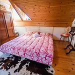 Authentic Countryside With Hot Tub Villa Veliki Kamen